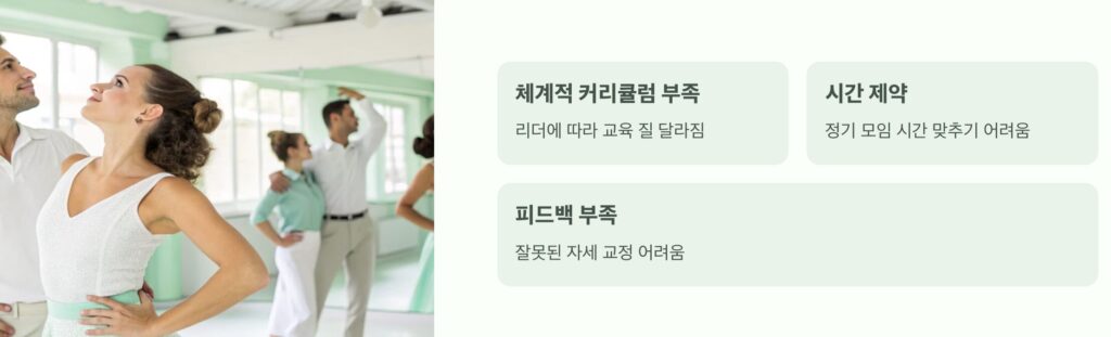 살사댄스 동호회 단점