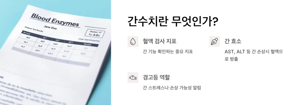 간수치란 무엇인가?